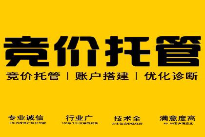 SEM推广代运营公司助力企业实现营销目标